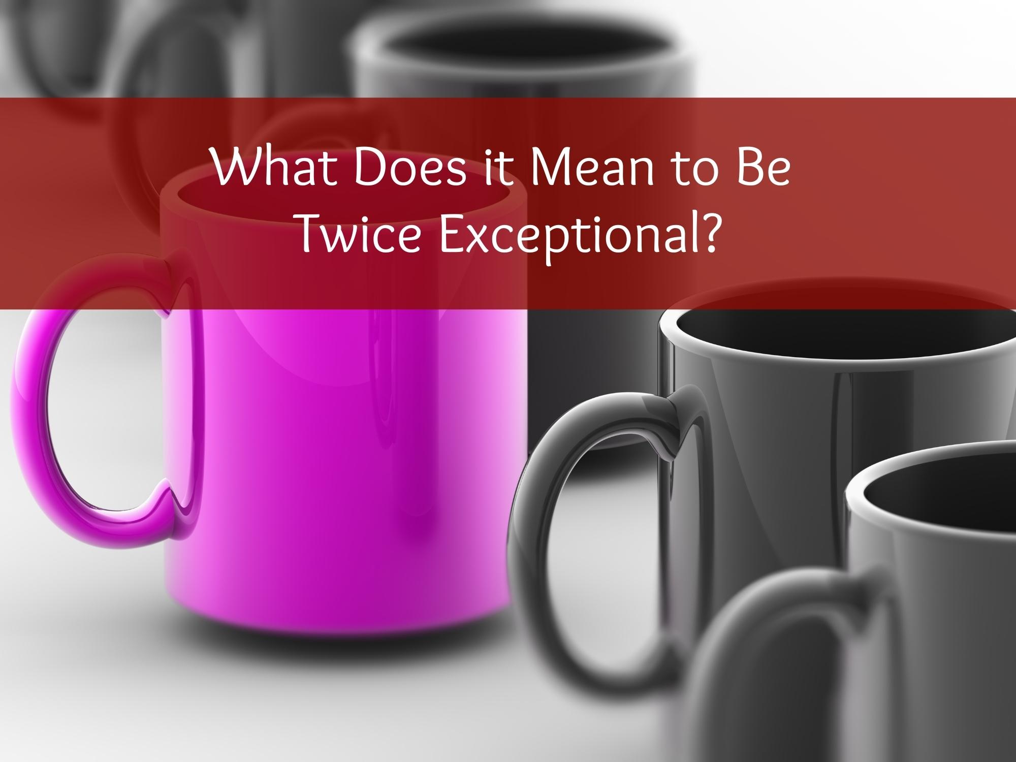 Twice Exceptional Examples