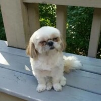Dakota's Picture